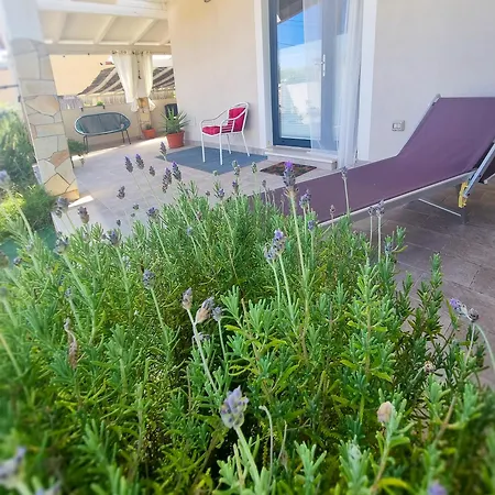 Appartement Casa Cocco *
