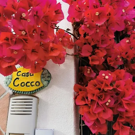 Apartment Casa Cocco