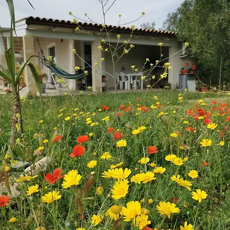 Casa Cocco Apartment Sant Isidoro (Sardinia)